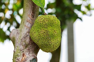 Intel发布独显新驱动 大幅度提升《心灵杀手2》等游戏性能